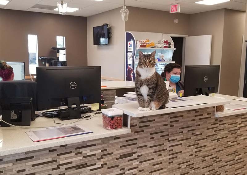 Carousel Slide 2: Learn more about our hospital!